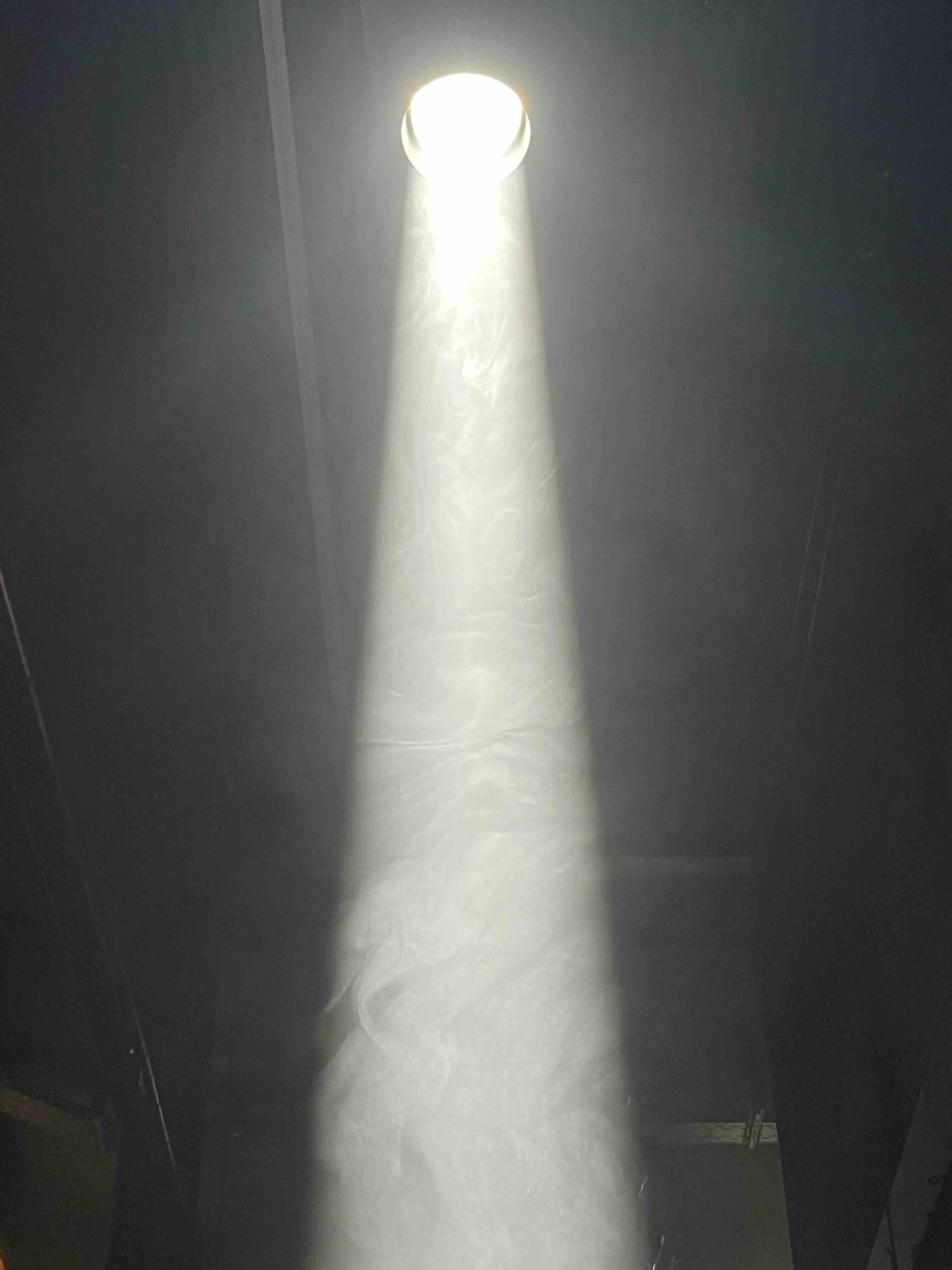 Luz